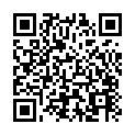 To view this 2015 Ford Focus Houston from Mi Tierra Auto Sales, Inc., please scan this QR code with your smartphone or tablet to view the mobile version of this page.