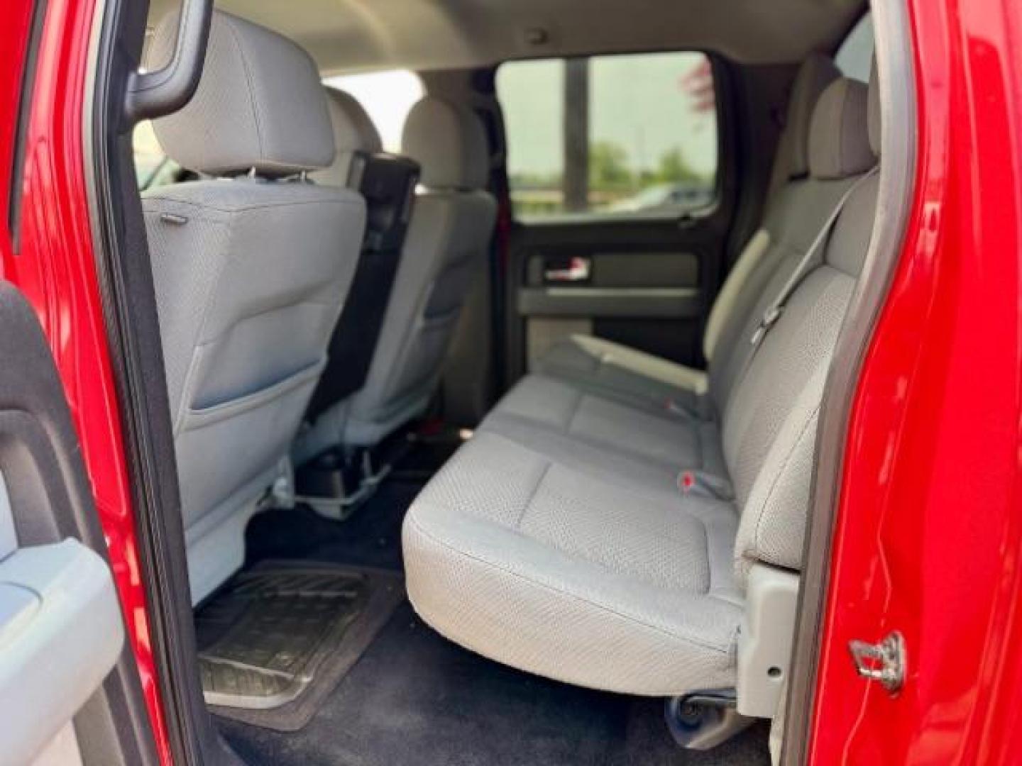 2012 red /BLACK FORD F150 XLT (1FTFW1CF0CK) with an 5.0 engine, 6-Speed Automatic transmission, located at 4545 Spencer Hwy., Pasadena, 77504, (832) 266-1645, 29.666037, -95.173775 - Photo#7