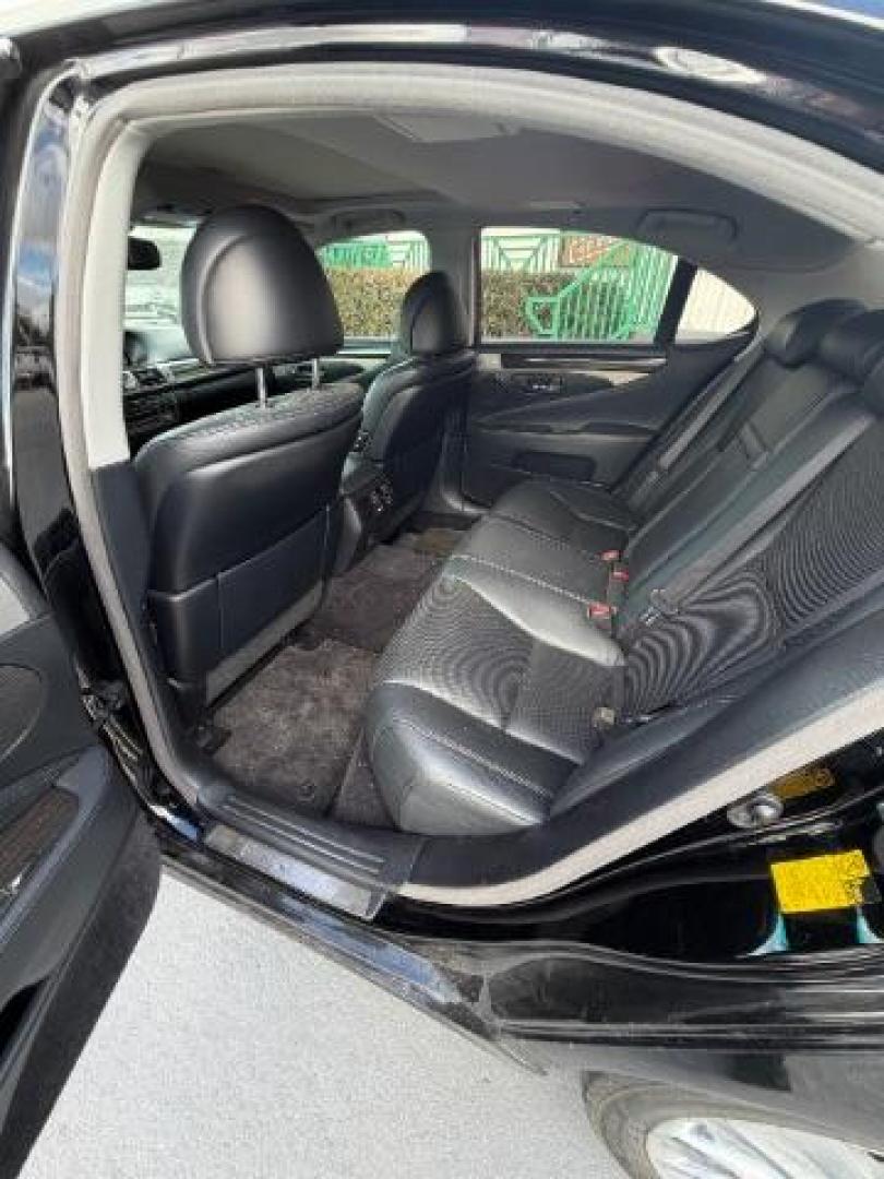 2014 BLACK /BLACK Lexus LS 460 LS460 (JTHBL5EFXE5) , located at 4545 Spencer Hwy., Pasadena, 77504, (832) 266-1645, 29.666037, -95.173775 - Photo#6