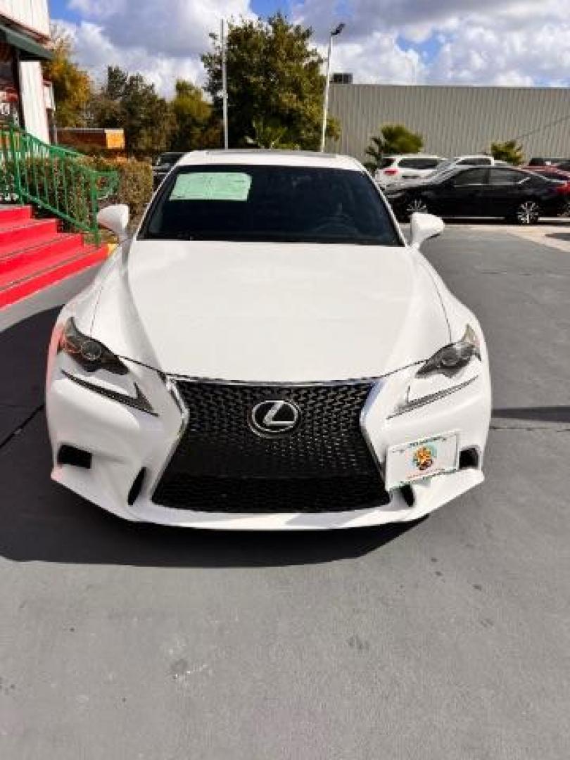 2014 WHITE Lexus IS 350 IS (JTHBE1D21E5) , located at 4545 Spencer Hwy., Pasadena, 77504, (832) 266-1645, 29.666037, -95.173775 - Photo#2
