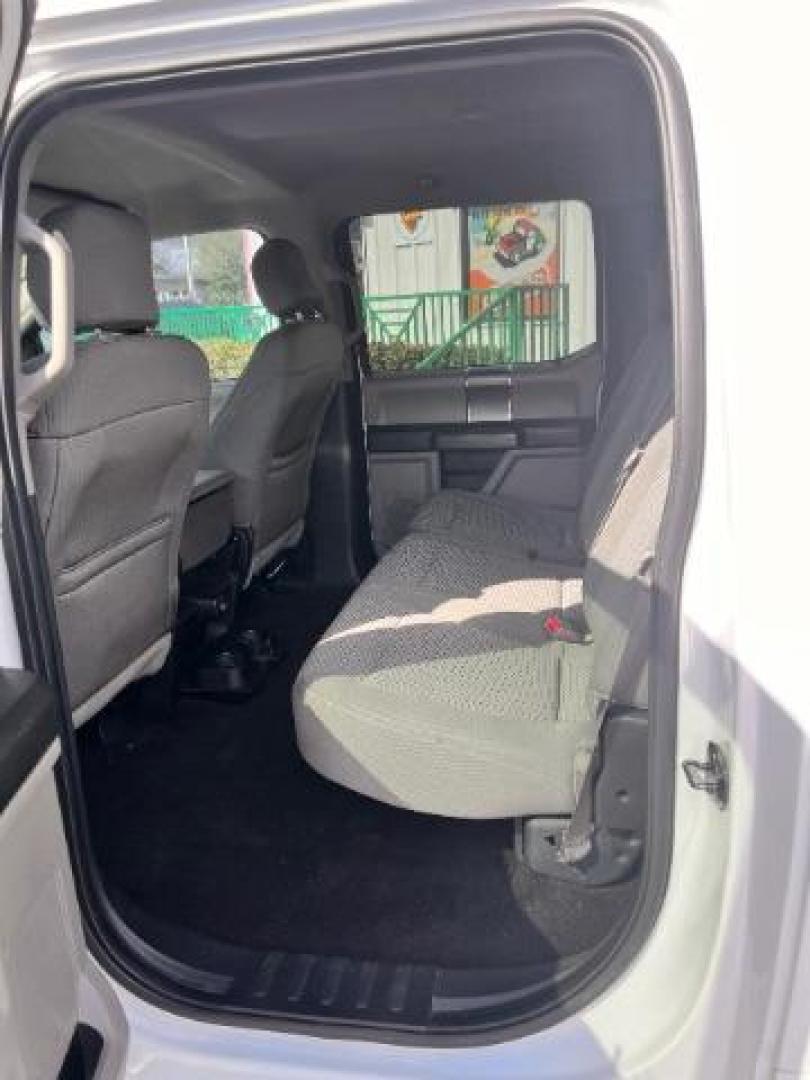 2016 Oxford White /Medium Earth Gray Ford F-150 XLT (1FTEW1CP8GK) , located at 4545 Spencer Hwy., Pasadena, 77504, (832) 266-1645, 29.666037, -95.173775 - Photo#7