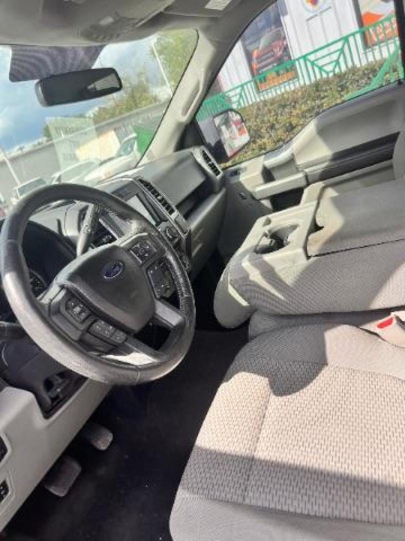 2016 Oxford White /Medium Earth Gray Ford F-150 XLT (1FTEW1CP8GK) , located at 4545 Spencer Hwy., Pasadena, 77504, (832) 266-1645, 29.666037, -95.173775 - Photo#10