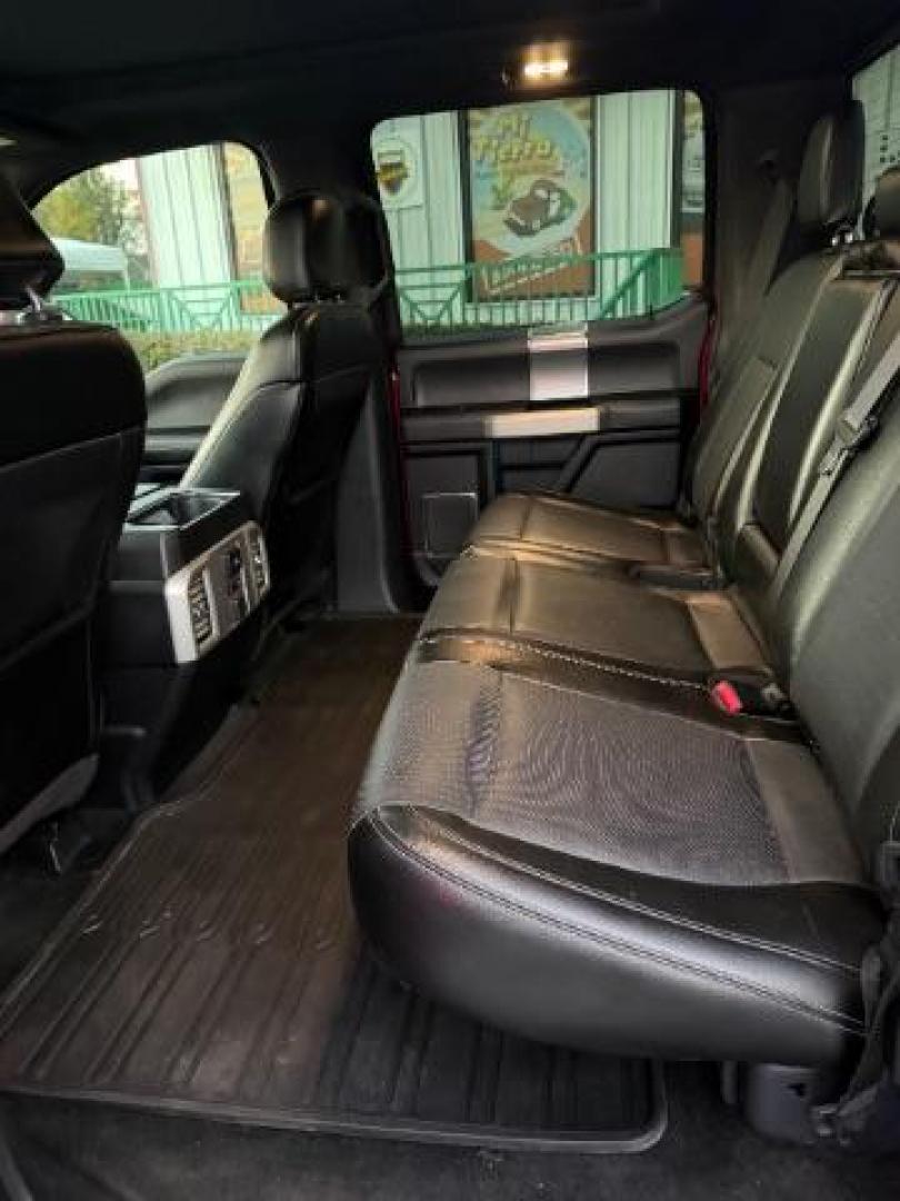 2015 Ruby Red Metallic Tinted Clearcoat /Black Ford F-150 LARIAT (1FTEW1EG5FF) , located at 4545 Spencer Hwy., Pasadena, 77504, (832) 266-1645, 29.666037, -95.173775 - Photo#6