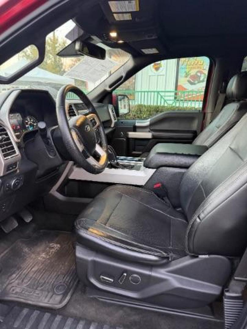 2015 Ruby Red Metallic Tinted Clearcoat /Black Ford F-150 LARIAT (1FTEW1EG5FF) , located at 4545 Spencer Hwy., Pasadena, 77504, (832) 266-1645, 29.666037, -95.173775 - Photo#7