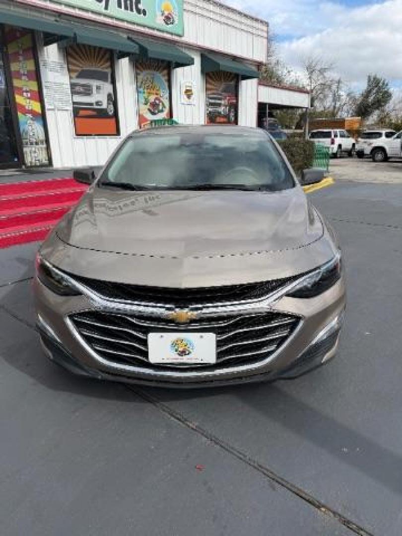 2023 Sterling Gray Metallic /Dark Atmosphere/Medium Ash Gray Chevrolet Malibu FWD LS (1G1ZB5STXPF) with an ECOTEC 1.5L I-4 gasoline direct injection engine, located at 7935 Gulf Freeway, Houston, 77017, (832) 266-1645, 29.684393, -95.275665 - Photo#1