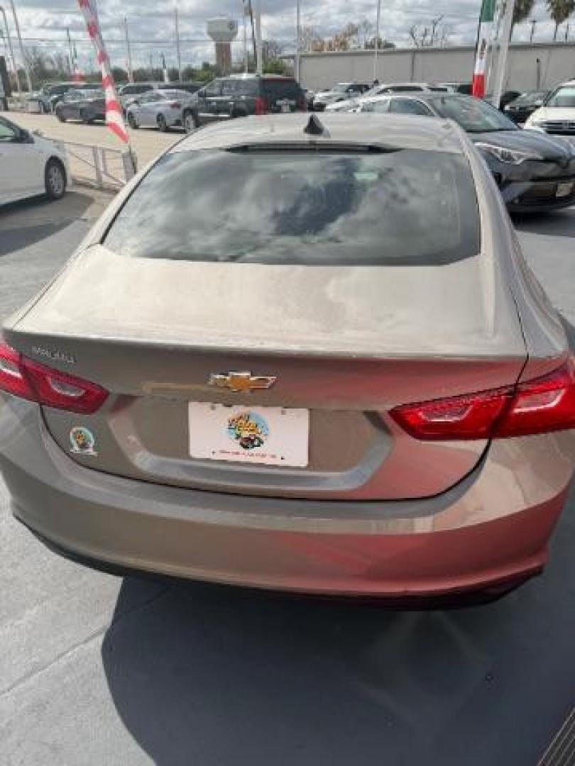 2023 Sterling Gray Metallic /Dark Atmosphere/Medium Ash Gray Chevrolet Malibu FWD LS (1G1ZB5STXPF) with an ECOTEC 1.5L I-4 gasoline direct injection engine, located at 7935 Gulf Freeway, Houston, 77017, (832) 266-1645, 29.684393, -95.275665 - Photo#5