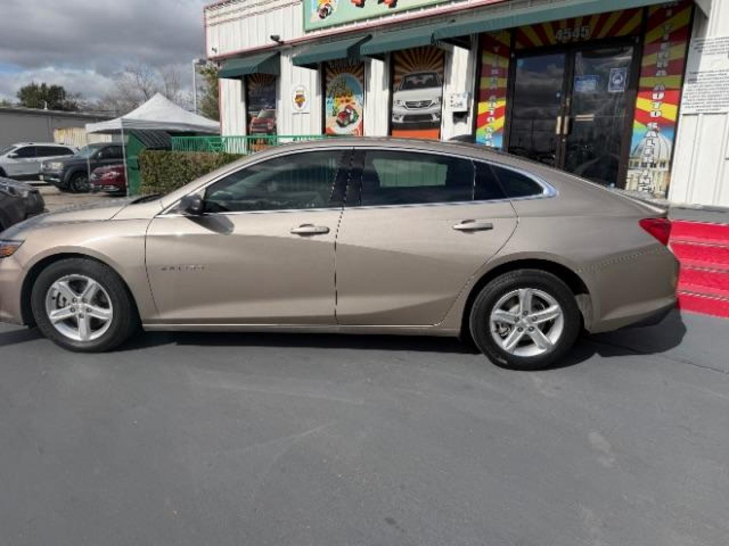 2023 Sterling Gray Metallic /Dark Atmosphere/Medium Ash Gray Chevrolet Malibu FWD LS (1G1ZB5STXPF) with an ECOTEC 1.5L I-4 gasoline direct injection engine, located at 7935 Gulf Freeway, Houston, 77017, (832) 266-1645, 29.684393, -95.275665 - Photo#6