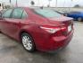 2020 Ruby Flare Pearl /Black Toyota Camry LE (4T1C11AK7LU) with an Dynamic Force 2.5L I-4 port/direct injection engine, located at 4545 Spencer Hwy., Pasadena, 77504, (832) 266-1645, 29.666037, -95.173775 - Photo#5