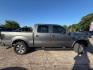 2013 Sterling Gray Metall /BLACK Ford F-150 FX2 SuperCrew 5.5-ft (1FTFW1CF3DK) with an 5.0L V8 engine, 6-Speed Automatic transmission, located at 7935 Gulf Freeway, Houston, 77017, (832) 266-1645, 29.684393, -95.275665 - Photo#7