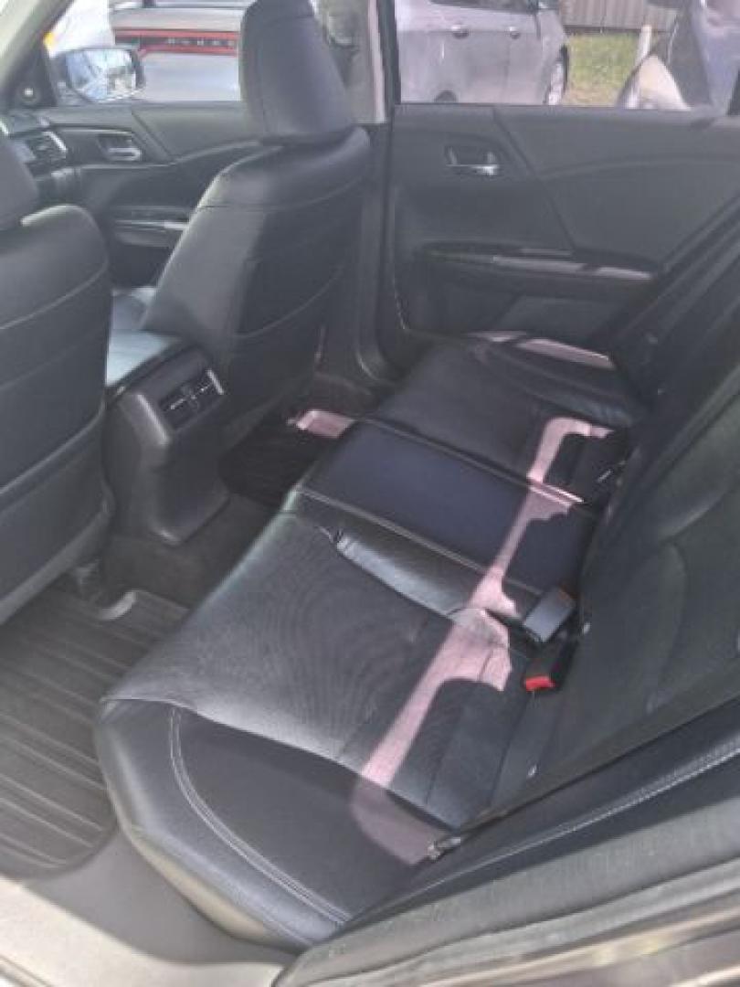 2015 Modern Steel Metallic Honda Accord EX-L (1HGCR2F89FA) with an 2.4L I-4 direct injection engine, located at 4545 Spencer Hwy., Pasadena, 77504, (832) 266-1645, 29.666037, -95.173775- Photo#5